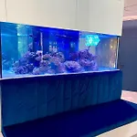 у моря с панорамным видом золотой берег Οδησσός