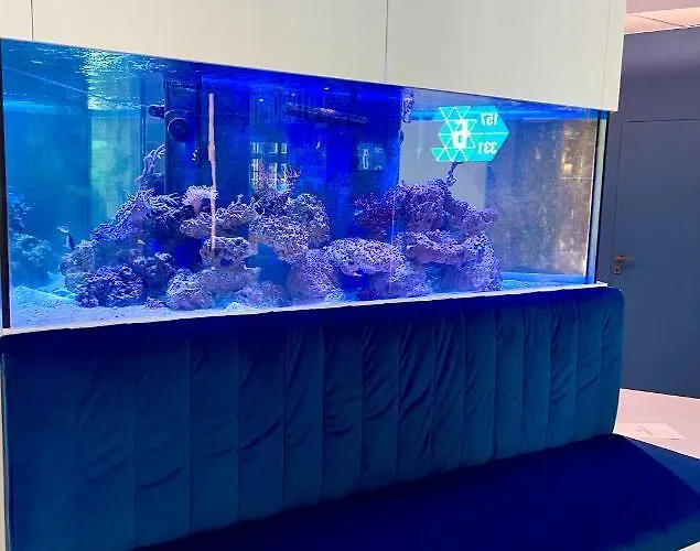 у моря с панорамным видом золотой берег أوديسا